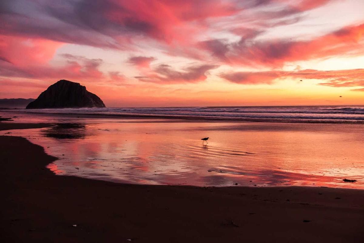 Packaging Design - Artisan Chocolates - Image 2