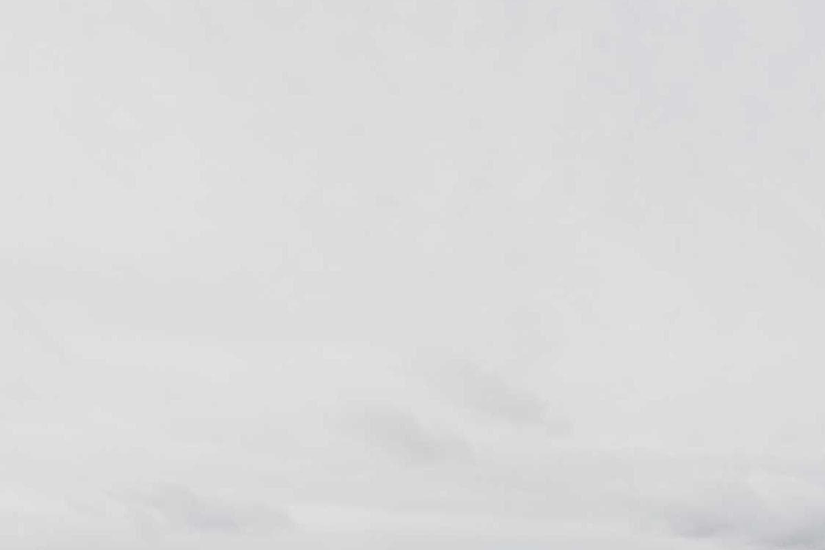 UI/UX Design - Wellness App - Image 2